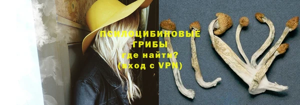 метадон Горнозаводск