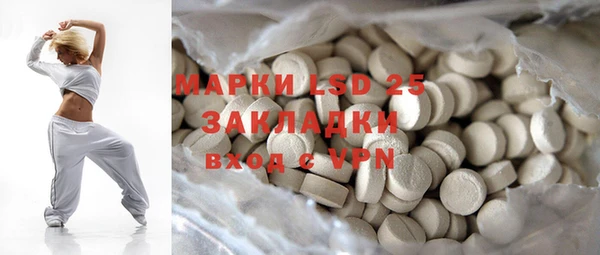 ПСИЛОЦИБИНОВЫЕ ГРИБЫ Горняк
