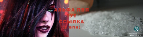 ПСИЛОЦИБИНОВЫЕ ГРИБЫ Горняк