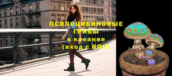 ПСИЛОЦИБИНОВЫЕ ГРИБЫ Горняк