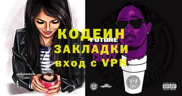 ПСИЛОЦИБИНОВЫЕ ГРИБЫ Горняк