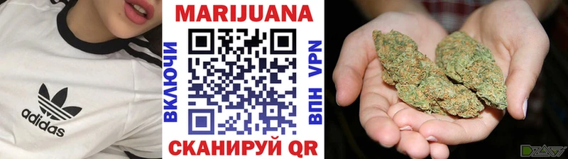 Конопля Amnesia  Купить закладки  Приволжск 